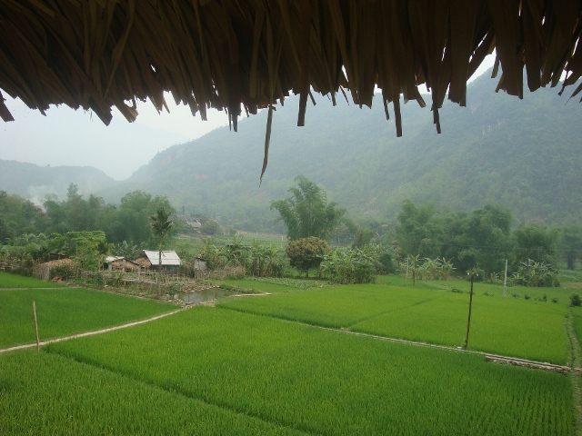 Logement chez l'habitant à Mai Chau, vue sur les rizières