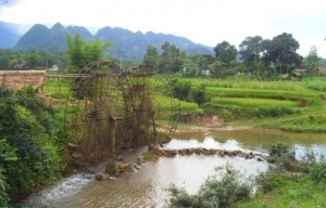 Randonnée à la réserve naturelle de Pu Luong