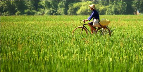 agriculteur conduit le vélo