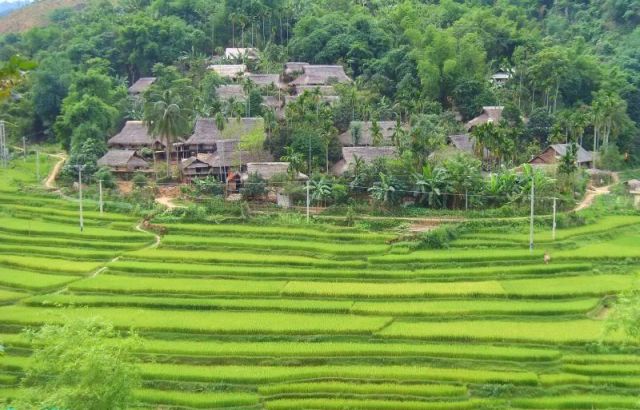 Trekking parc national de Pu Luong
