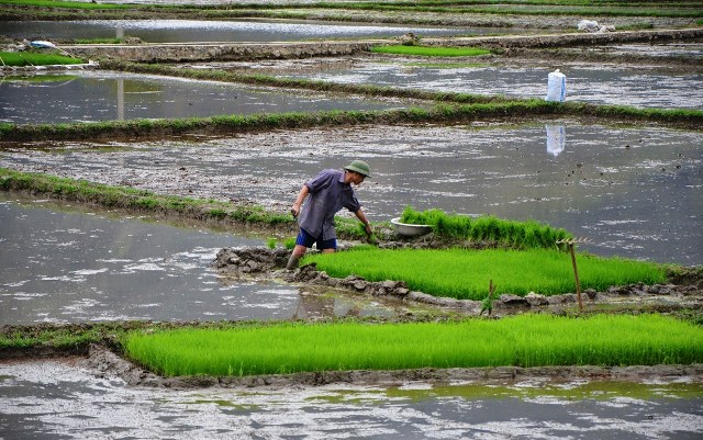 Travaux de champs à Mai Chau, Vietnam
